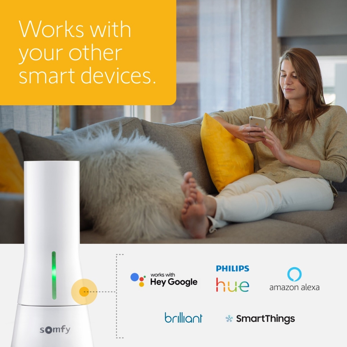 somfy myLink RTS Hub - Control Motorized Blinds, Shades, Curtains & Awnings  with Alexa & Google Assistant - Quick Setup, 16 Channels Control, Wake Up