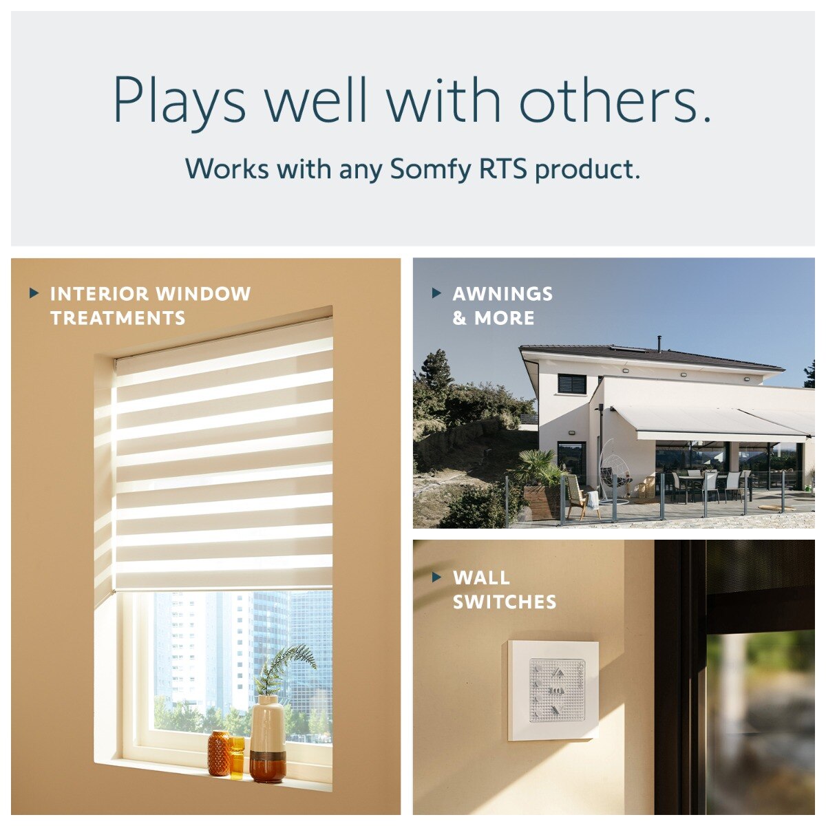 Somfy Telis 1 RTS Patio Remote, 1 Channel