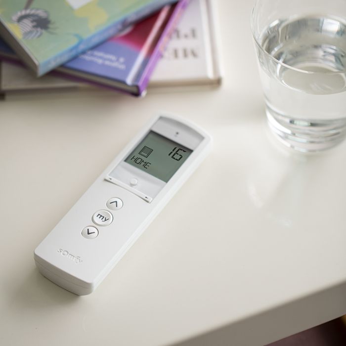 Telis 16 RTS Silver Remote