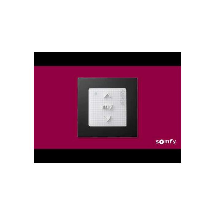 Smoove® 1 RTS Pure with Wall Switch Frame 