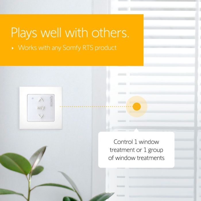 Smoove® 1 RTS Pure with Wall Switch Frame 