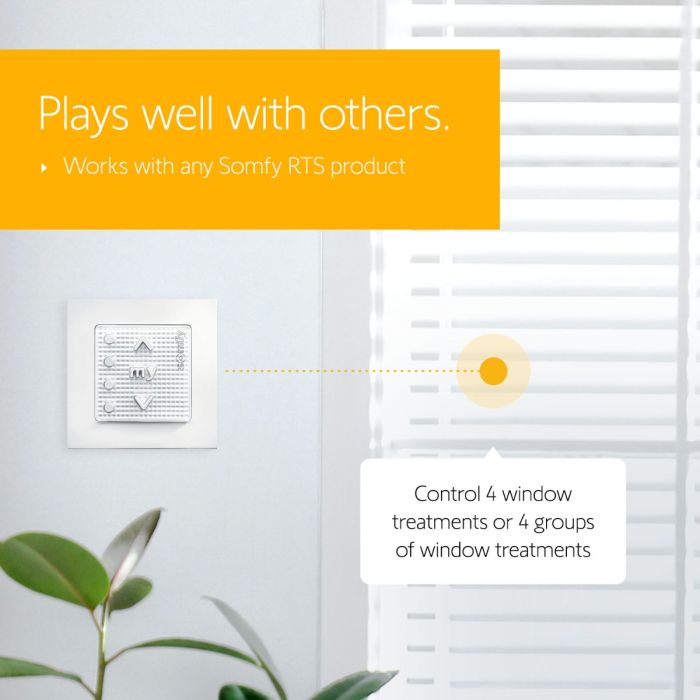 Smoove® 4 RTS Pure with Wall Switch Frame 
