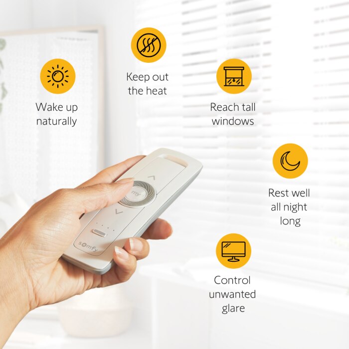 Somfy CLEVER™ DIY Tilt Blind Motor Kit 4-Pack with Free Situo 5® 