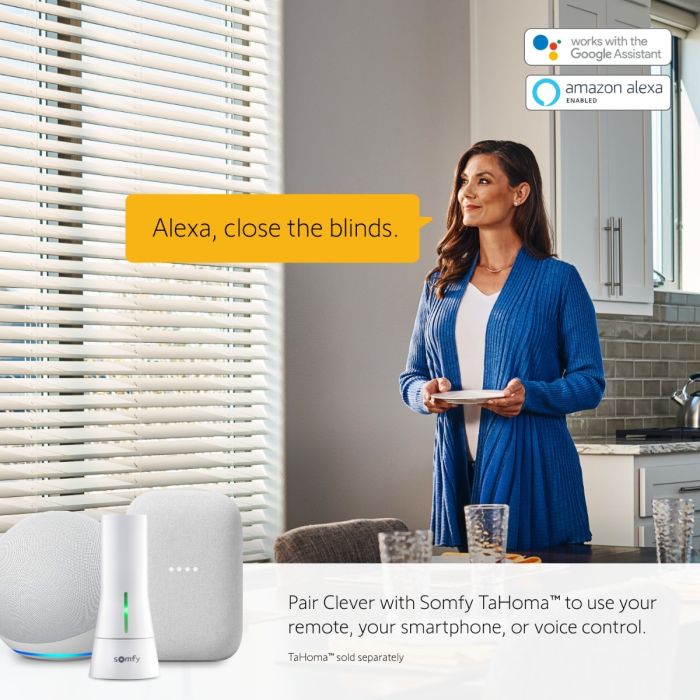 Somfy CLEVER™ DIY Tilt Blind Motor Kit 4-Pack with Free Situo 5® 