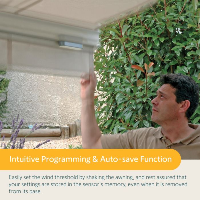 Telis 4 RTS Patio and Eolis Awning Wind Sensor (Summer Bundle)