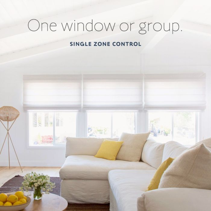 Situo® 1 RTS Natural Remote