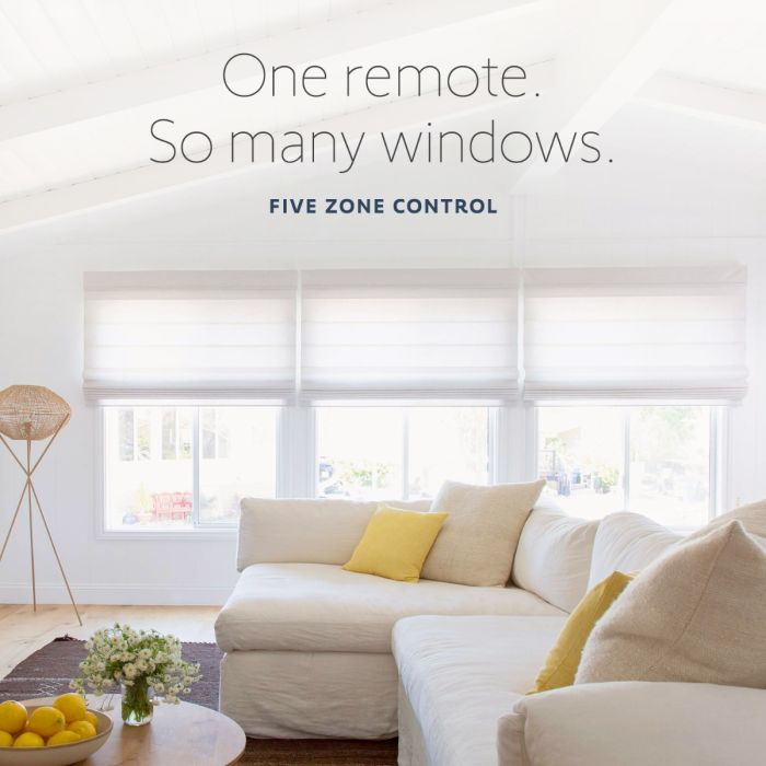 Situo® 5 RTS Natural Remote