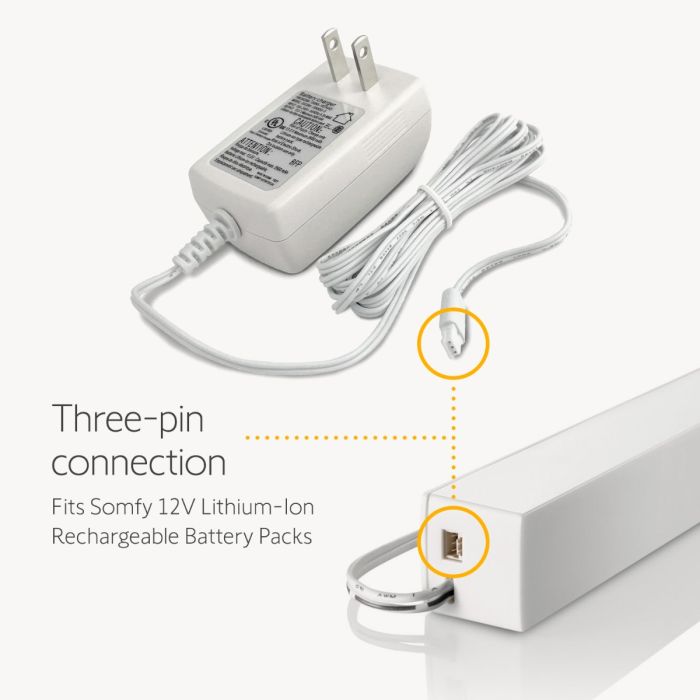 Lithium-ion Rechargeable Battery Pack and Charger (9021217 - 9025166)