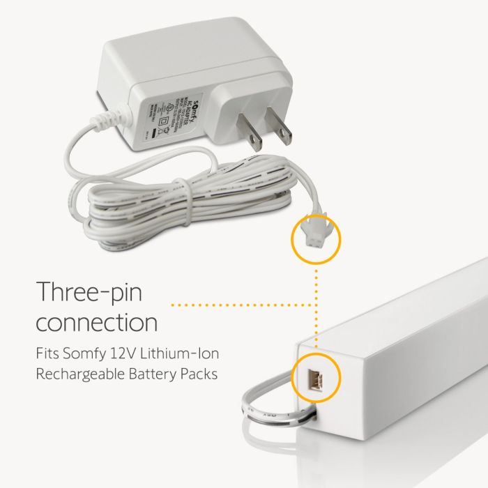 Lithium-ion Rechargeable Battery 4-Pack and Charger 