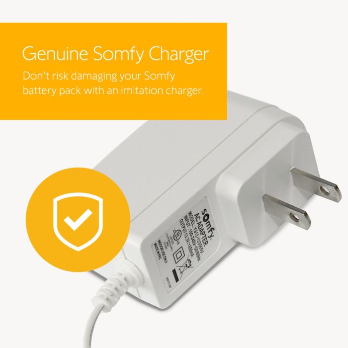 Lithium-ion Rechargeable Battery 4-Pack and Charger 