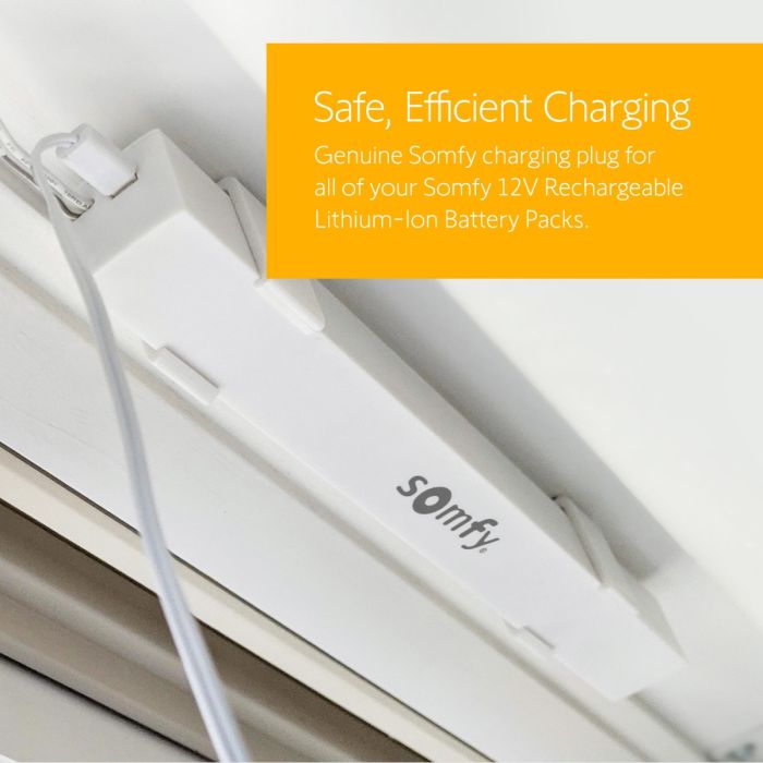 Lithium-ion Rechargeable Battery Pack and Charger (9021217 - 9025166)