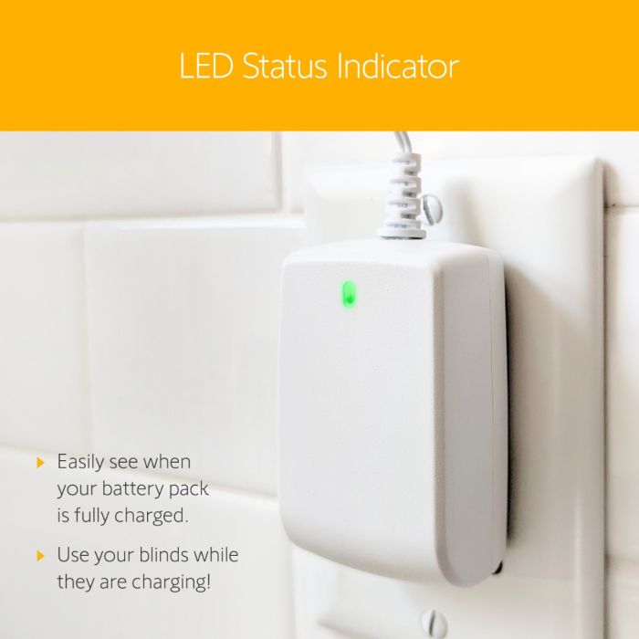 Lithium-ion Rechargeable Battery Pack and Charger (9021217 - 9025166)