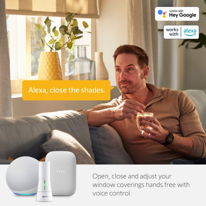 Somfy TaHoma Gateway (1871387)