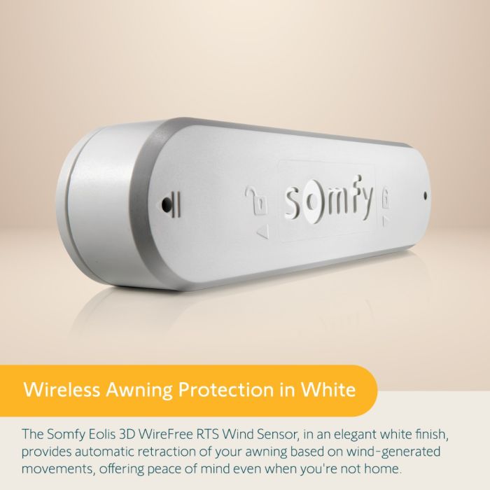 Telis 4 RTS Patio and Eolis Awning Wind Sensor (Summer Bundle)